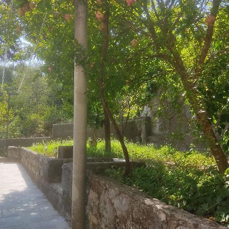 Apartman Arbanas Dubrovnik Dış mekan fotoğraf