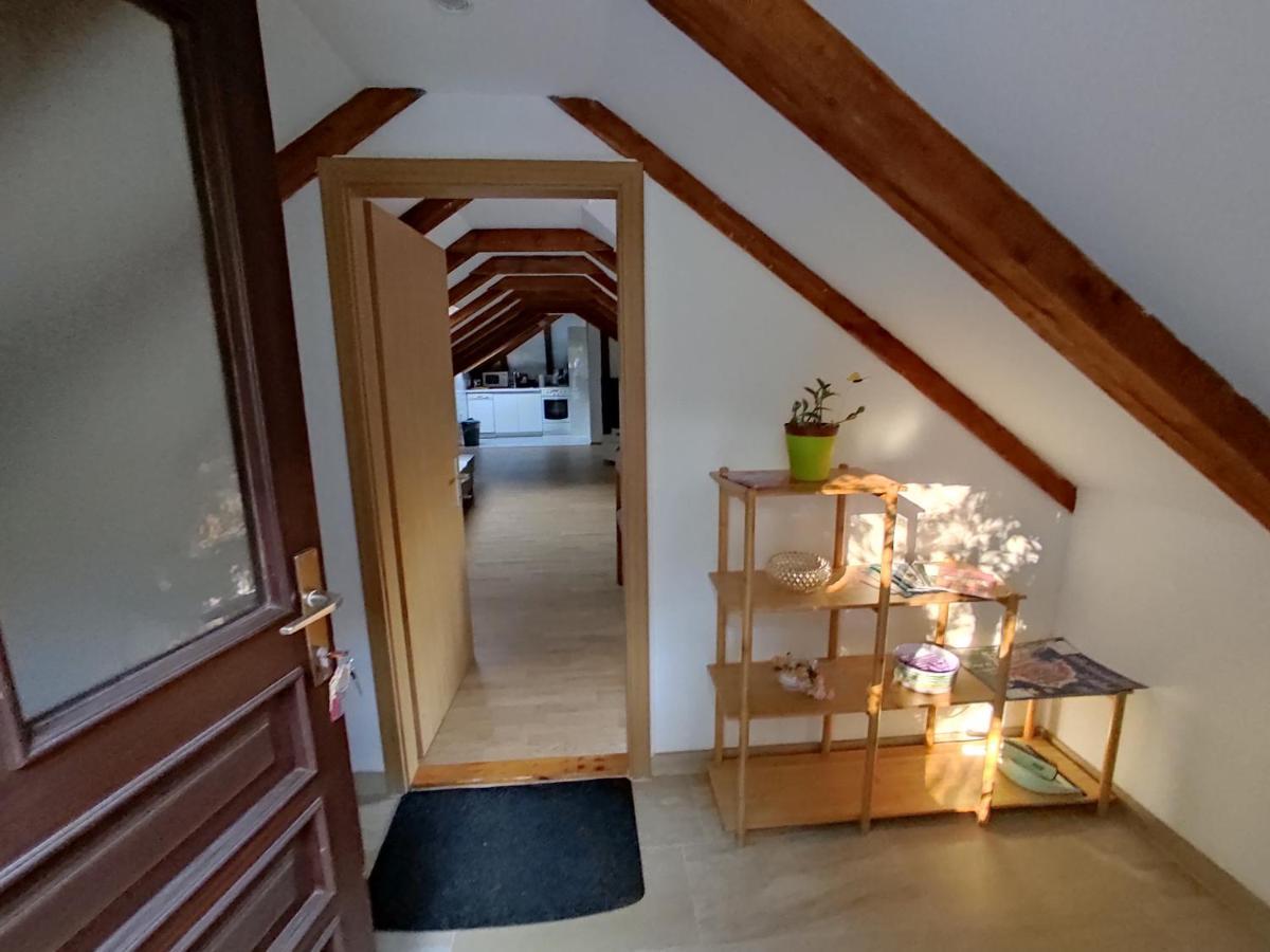 Apartman Arbanas Dubrovnik Dış mekan fotoğraf